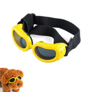 Brýle pro psa – ochrana proti UV, větru atp.